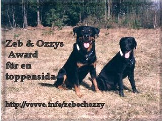Zeb & Ozzy